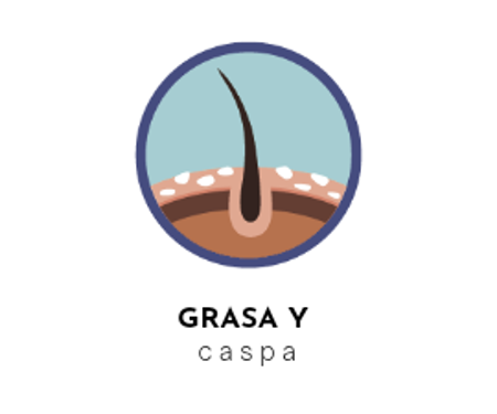 Imagen para la categoría Grasa y caspa